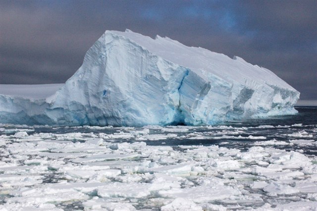 Cultura edita el libro La vida en los fondos marinos antárticos