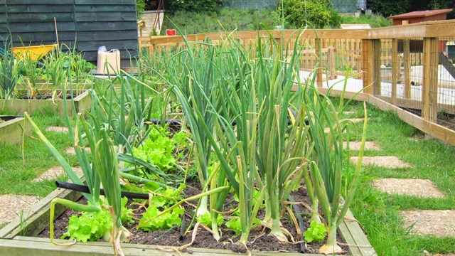 Qué medidas puedes tomar tú personalmente para minimizar la huella de CO2