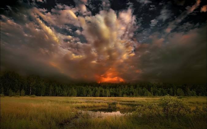 Los 10 mandamientos para la prevención de incendios forestales