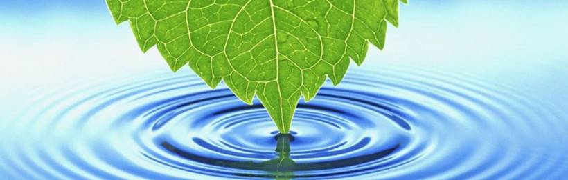 Posgrado en Redes de Abastecimiento y Saneamiento Dual City (BCN/MAD)