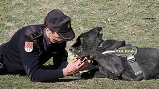 La Policía Nacional se suma a la iniciativa para promover la declaración del Día Mundial del Perro del Trabajo