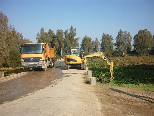 Retiran cientos de toneladas de camalote en Mérida y alrededores