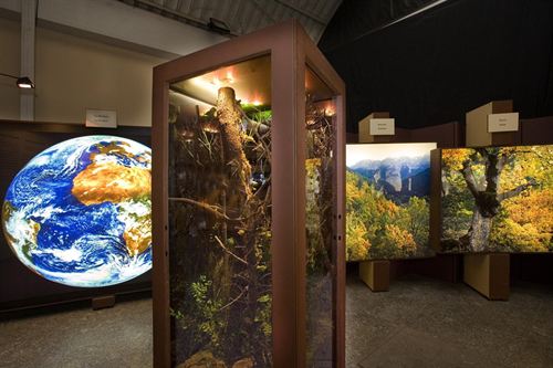 Bilbao acoge hasta el 2 de julio la exposición "El bosque. Mucho más que madera"