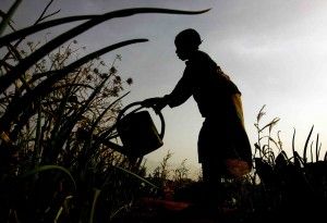 Niñas trabajadoras invisibles