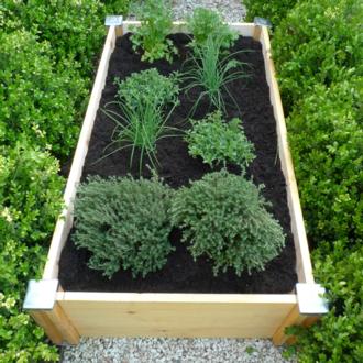 Sistema de Cultivo Hortibox Mini Aromatics