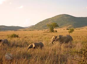 Suzlon Energy bets on South Africa’s strong winds