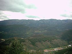 Polémica en la Junta Rectora del PN del Valle de Alcudia y Sierra Madrona