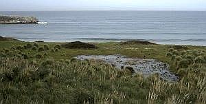 El vertedero de Ciriego se convertirá en un encinar y brezal costero