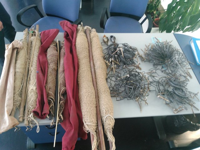 Denunciado un vecino de Jaén capital por la captura ilegal de aves fringílidas