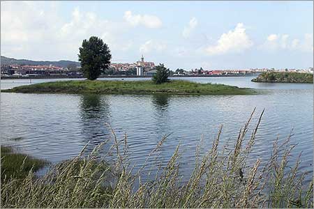 Gobierno vasco interpone una denuncia por los "reiterados ataques" a las instalaciones del Parque Natural de Plaiaundi