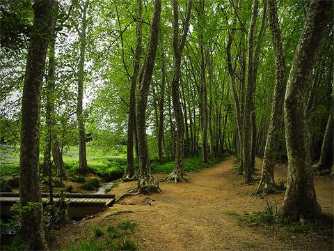 Mollet pide a Fomento que la B-40 no se acerque al Parque Natural de Gallecs