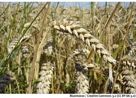La transición a una economía verde es posible invirtiendo en diez sectores
