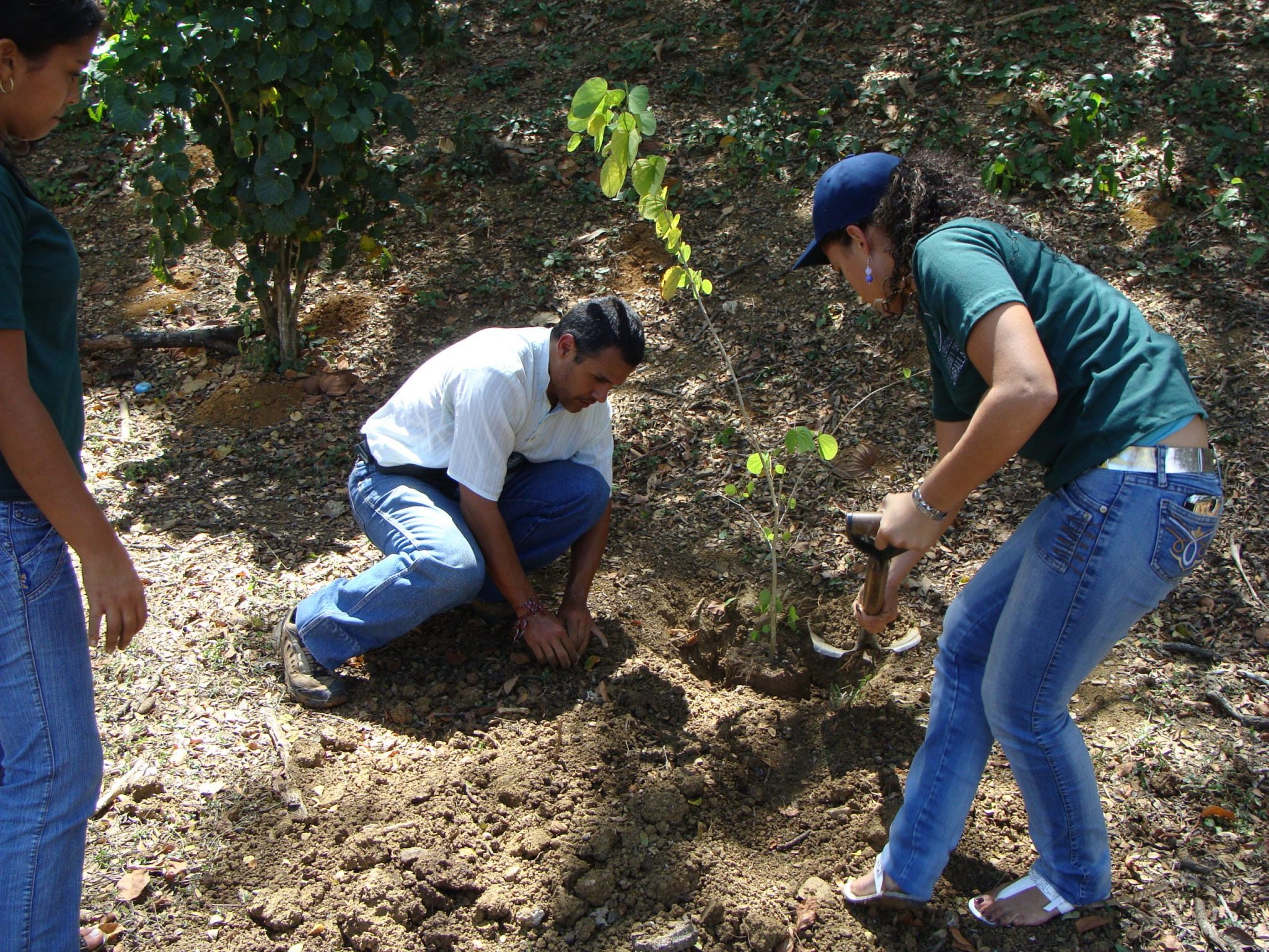 Ambiente Miranda y UNEXPO celebran  Día de la Eficiencia Energética