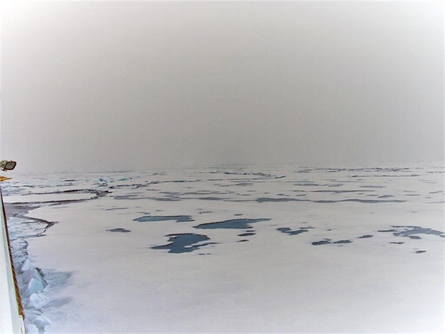 El hielo marino que se funde favorece más vida en el océano