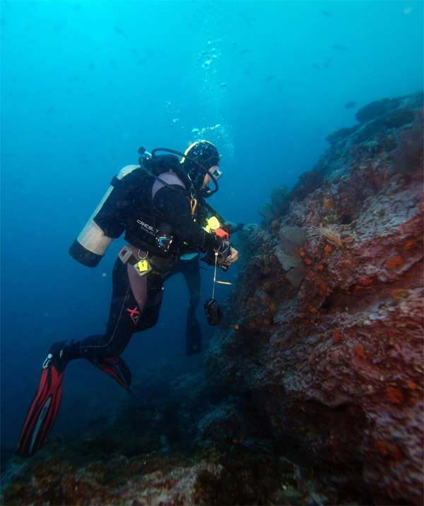 Investigan si la plasticidad fenotípica da lugar a la especiación ecológica