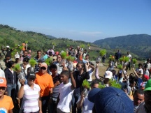 Se han sembrado 840 mil plantas en la cuenca del Yaque del Norte