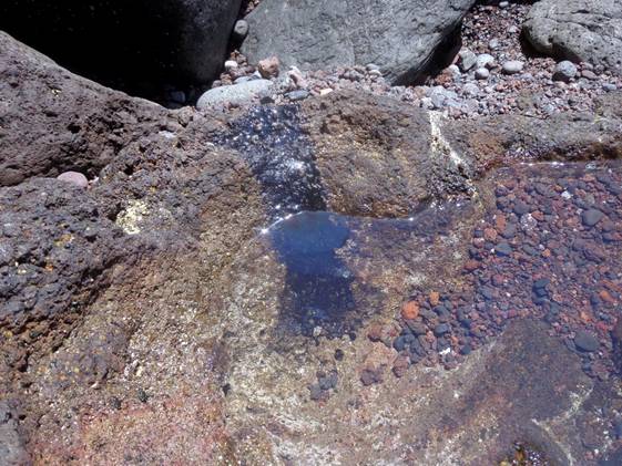 ATIRACAN ha detectado manchas de fuel en la zona de Tasarte