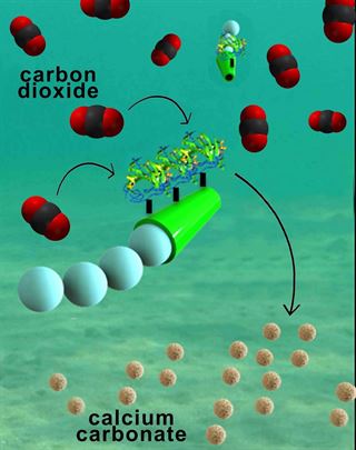 La máquina que elimina CO2 de los océanos