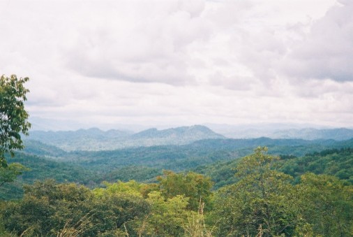 Navarra. exigen el cierre de los cotos envenenados antes de que comience la temporada de caza