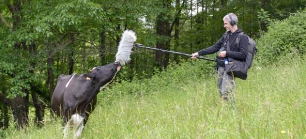 Producida por SEO/BirdLife. RTVE entrena este sábado la serie documental Red Natura 2000