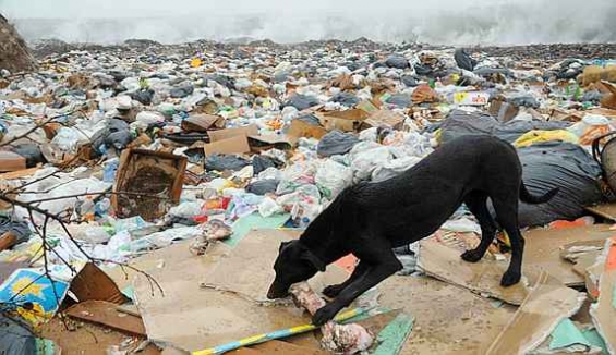 Argentina. La capital del país está llena de basurales a cielo abierto