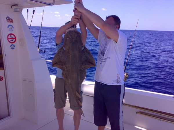 Atiracan y la viceconsejeria de Pesca de Canarias inician una colaboración para frenar la pesca ilegal de tiburones y rayas