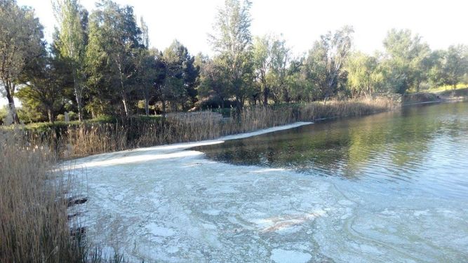 El humedal protegido de Velilla de San Antonio amanece con nuevos vertidos lácteos