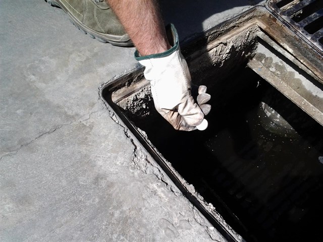 PSOE pide que se refuercen las medidas contra los mosquitos