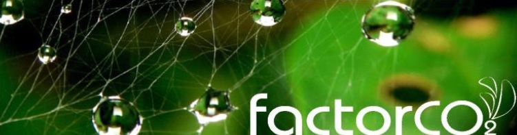 Proyecto CEPAL: medición de la huella de carbono de alimentos y bebidas en países de América Latina y el Caribe