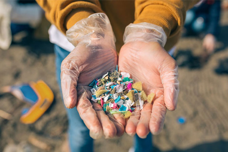 Apoyo del MITECO al Programa OCS