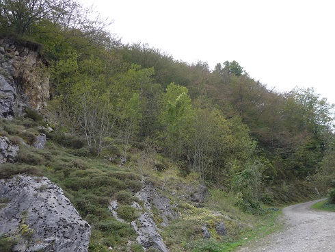 Asturias insiste en abrir una mina de carbón en plena zona osera de Lena