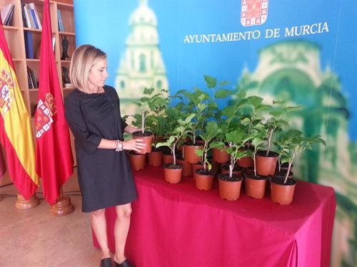 Medio Ambiente plantará más de 4.500 árboles en el municipio de Murcia hasta mayo del próximo año