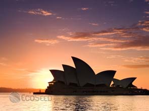 Australia backs emerging renewables with $ 35 million