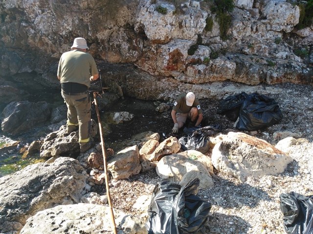 Limpieza de litoral en el caló del Savinar