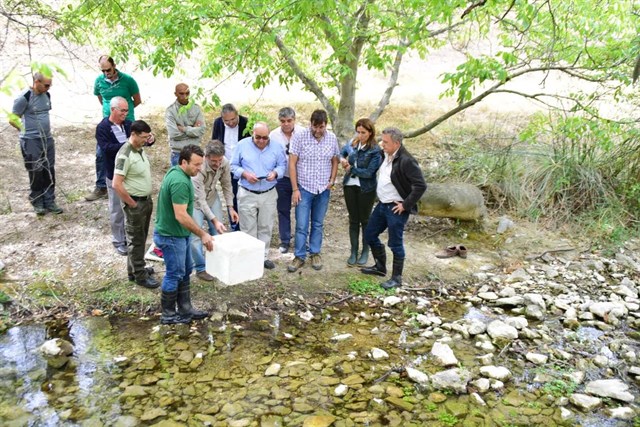 Sueltan 250 ejemplares de cangrejo autóctono de río en arroyos de Huéscar (Granada)