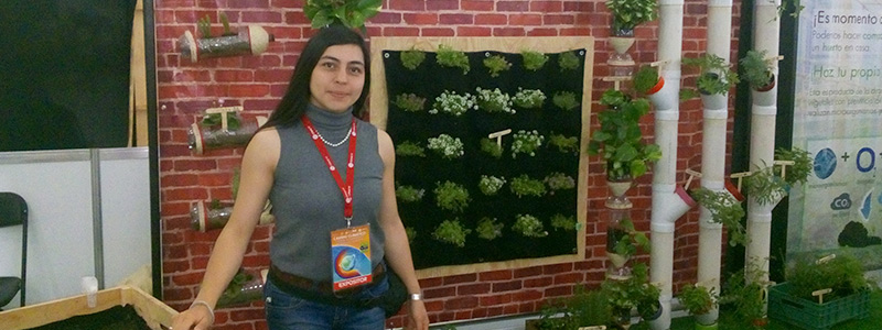 Muro verde en el Zócalo capitalino