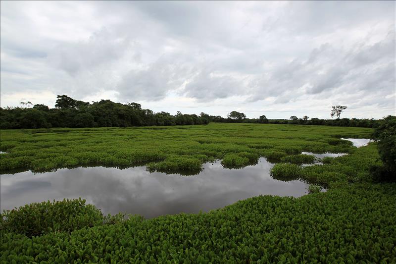Sinac asegura que decreto no afectará humedales nacionales