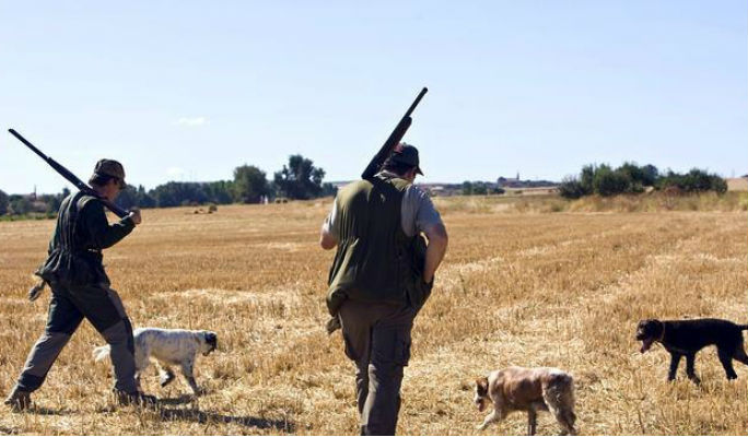 El ‘infierno’ de los cotos intensivos de Castilla-La Mancha