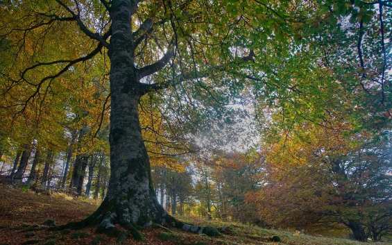 México trabaja por un medio ambiente más saludable y sostenible