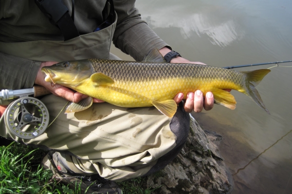 Vegas del Guadiana muestra a escolares la riqueza piscícola extremeña