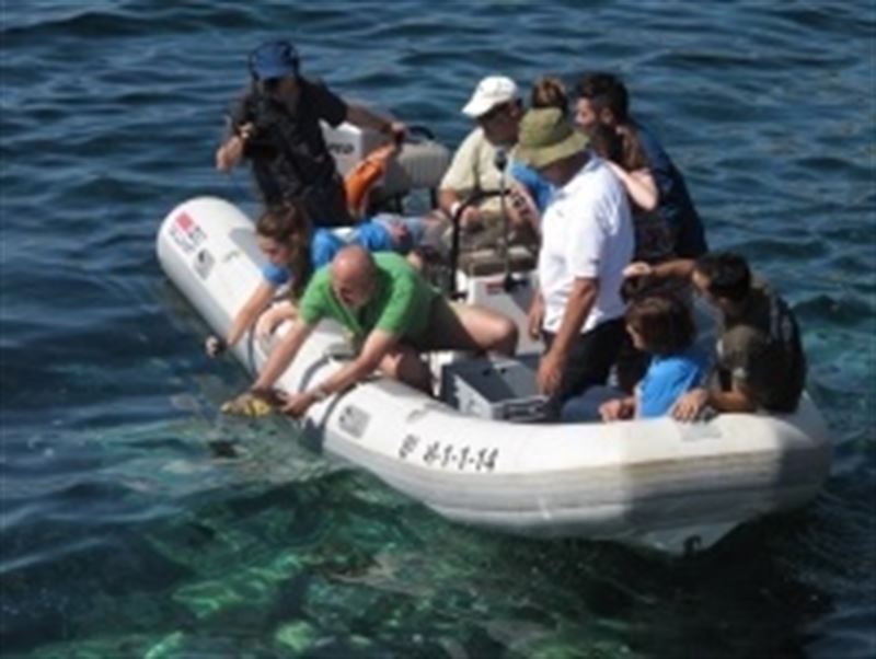 Liberan dos tortugas en el Parque Natural de sa Dragonera