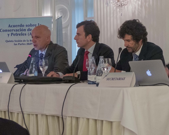 España tendrá protegida el 8% de su superficie marina