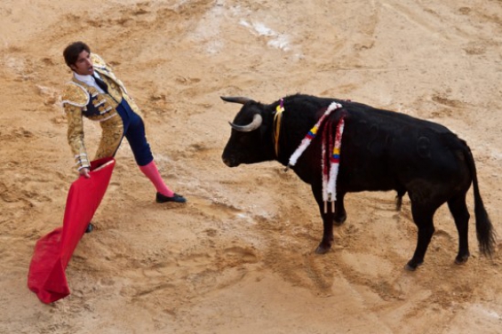 Volverán las corridas de toros a Bogotá