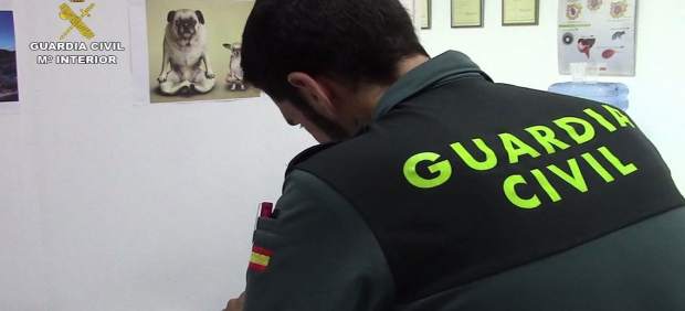 Investigan a un veterinario por maltrato animal y estafa en Palma
