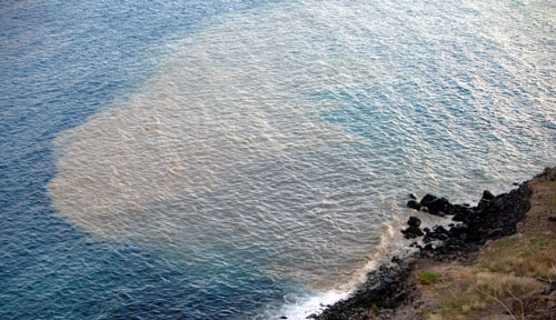 Microorganismos combatiendo los derrames petroleros