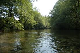 Un vertido de unos 3.000 kilos de sosa cáustica mata 500 kilos de peces en el río Tea (Pontevedra)