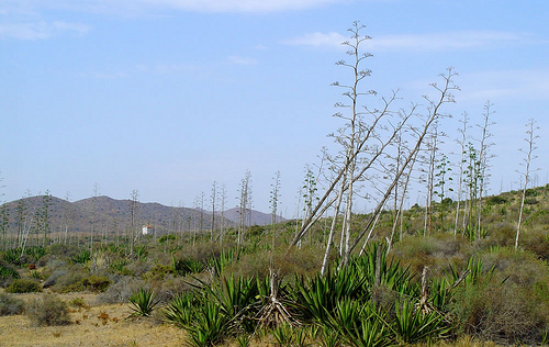 Cinta Castillo y Petronila Guerrero firman un convenio para promocionar los espacios naturales