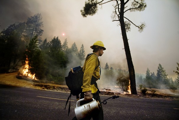 El incendio de Agosto en Doñana lo provoco el gerente de una empresa de electricidad