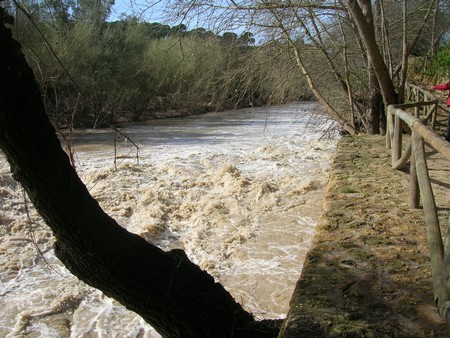 Posible nuevo vertido al río Guadaíra