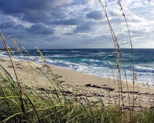 Master IUSC on-line en Gestión Sostenible de los Sistemas Costeros y Marinos